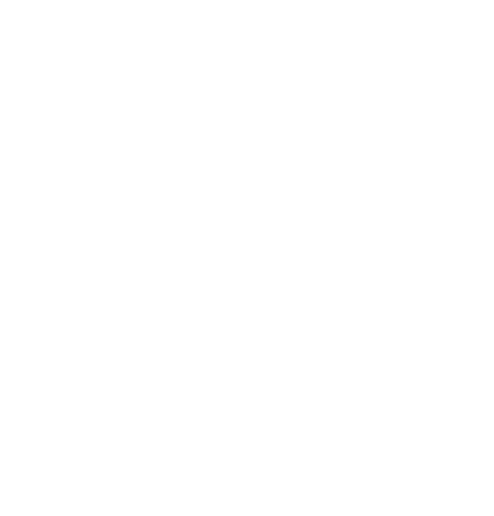 logo branco grande